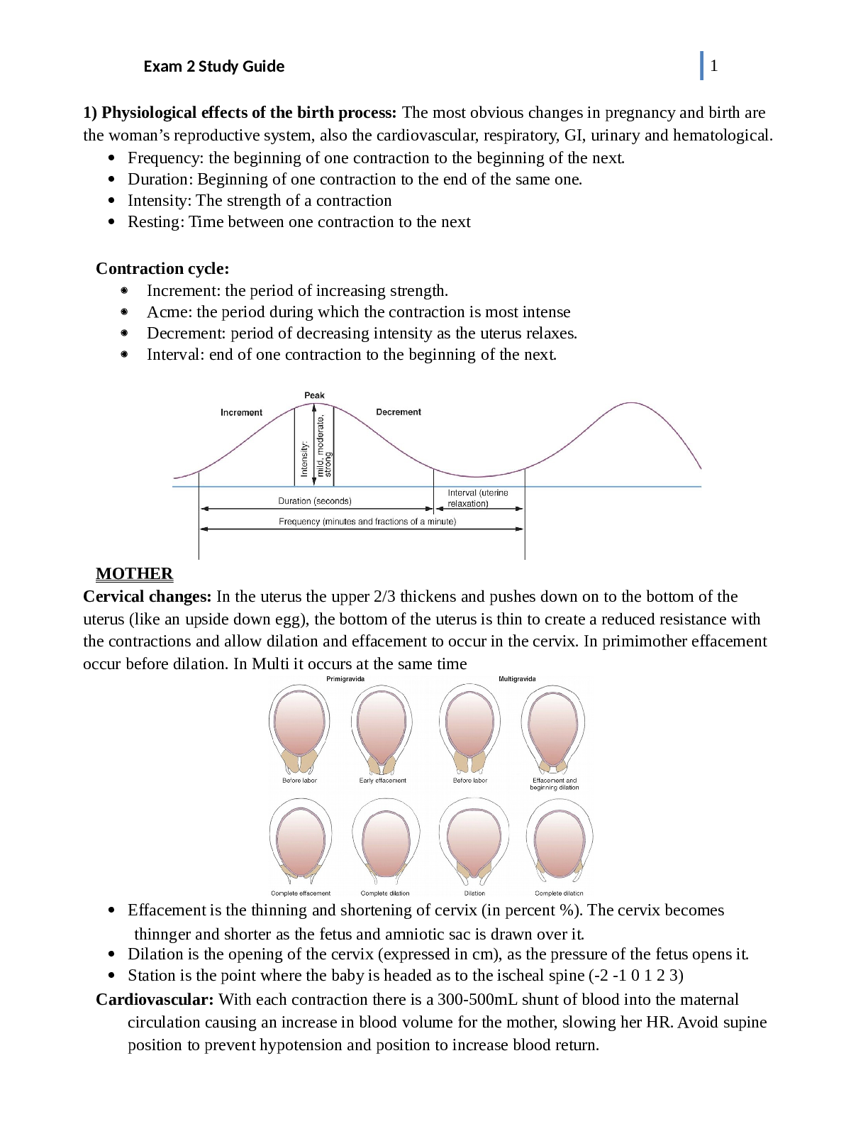 Preview image for MATERNAL A 327 EXAM 2 STUDY GUIDE | UPDATED | GRADE A | REALIABLE